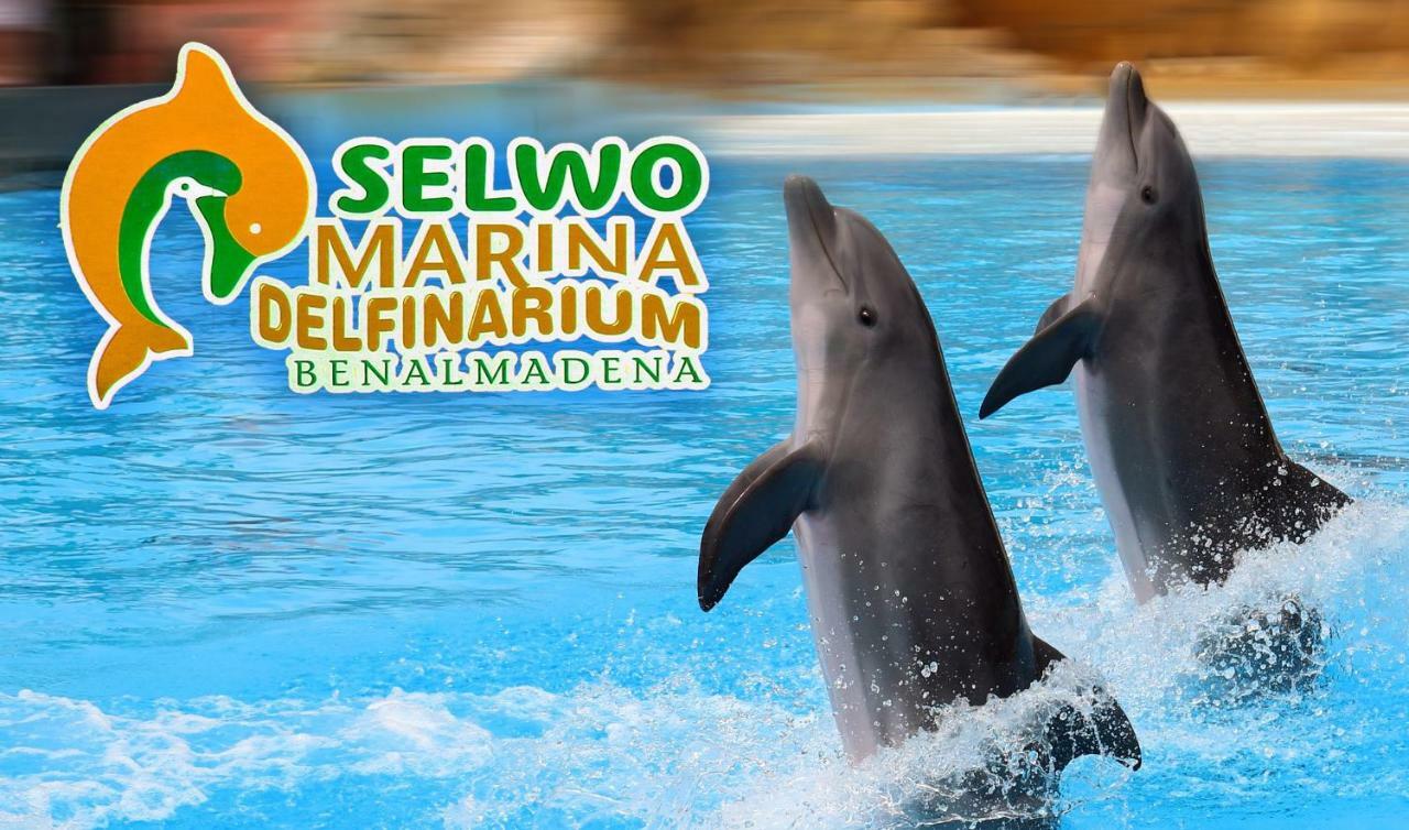 Apartamento Acuario ベナルマデナ エクステリア 写真